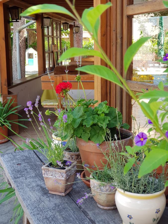 Sommer Panzió Balatonföldvár Exterior foto
